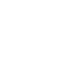 Endeavor Financial Group logo